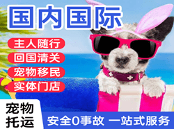 盐城空运公司国际宠物托运 【国